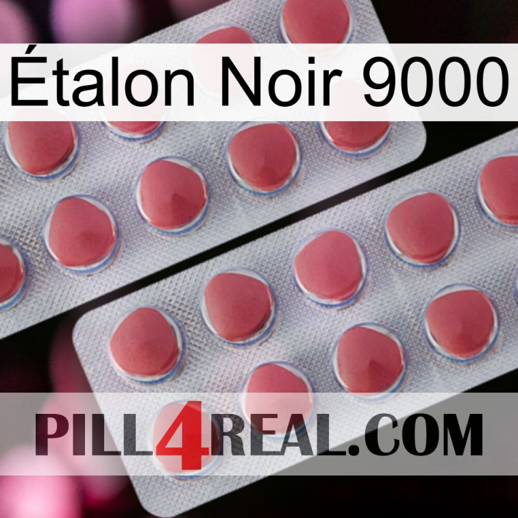 Étalon Noir 9000 19